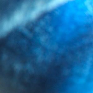 Meet your Posher, Autumn